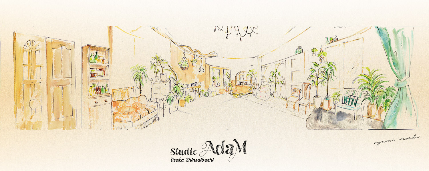 �����^���X�^�W�I STUDIO AdaM illust